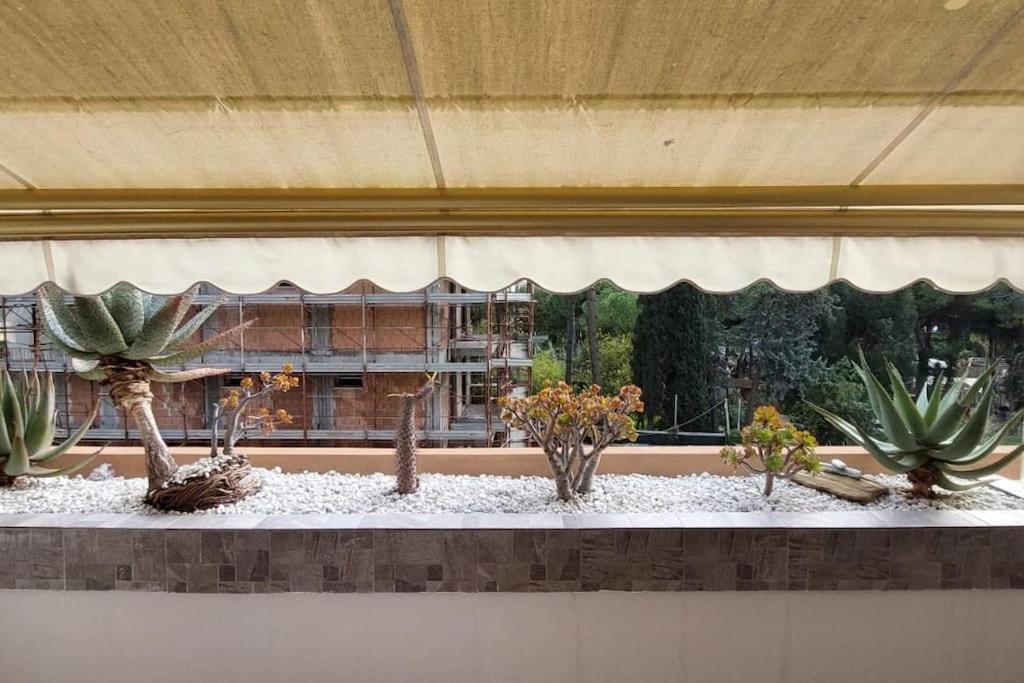 Latte Ampio Monolocale Con Terrazzo - A 2 Passi Dal Mare 아파트 외부 사진